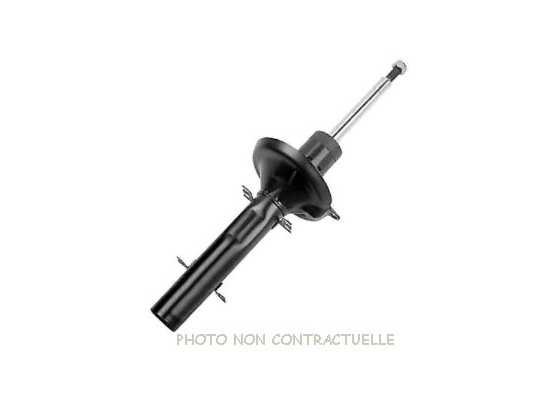 Amortisseurs Hydro LTM D28400