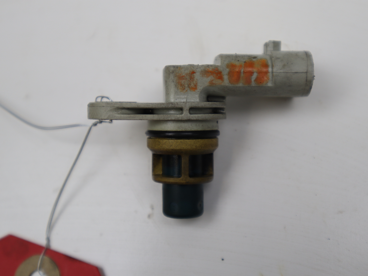 CAPTEUR ARBRE Ã€ CAMES