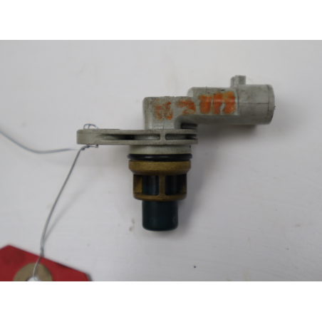 CAPTEUR ARBRE Ã€ CAMES