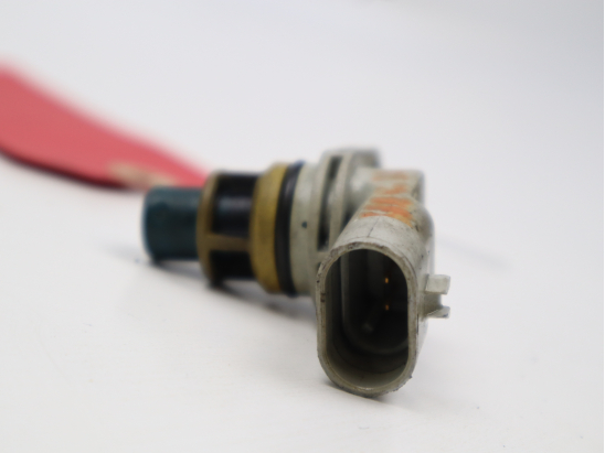 CAPTEUR ARBRE Ã€ CAMES