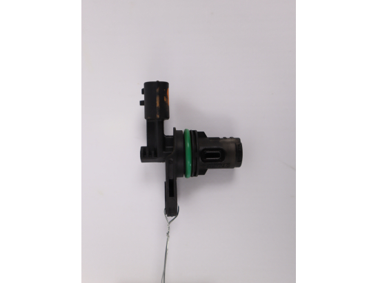 CAPTEUR ARBRE Ã€ CAMES