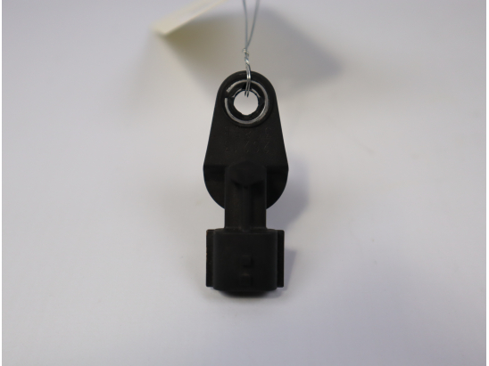 CAPTEUR ARBRE Ã€ CAMES