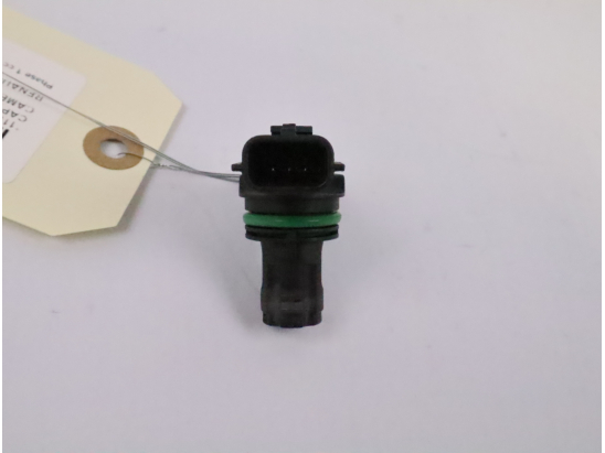 CAPTEUR ARBRE Ã€ CAMES