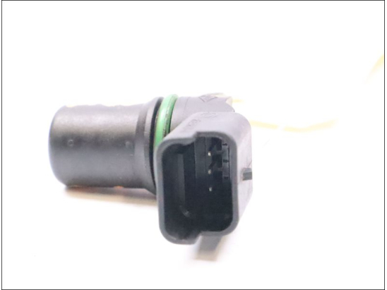 CAPTEUR ARBRE Ã€ CAMES