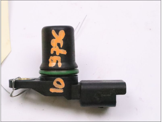 CAPTEUR ARBRE Ã€ CAMES