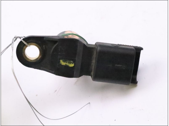 CAPTEUR ARBRE Ã€ CAMES