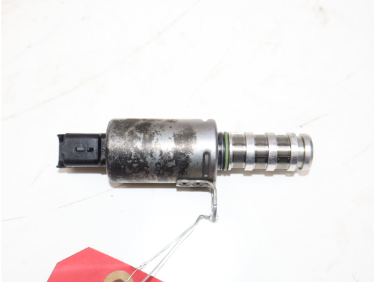 CAPTEUR ARBRE Ã€ CAMES