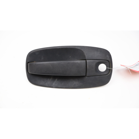 POIGNEE EXT PORTE AVG