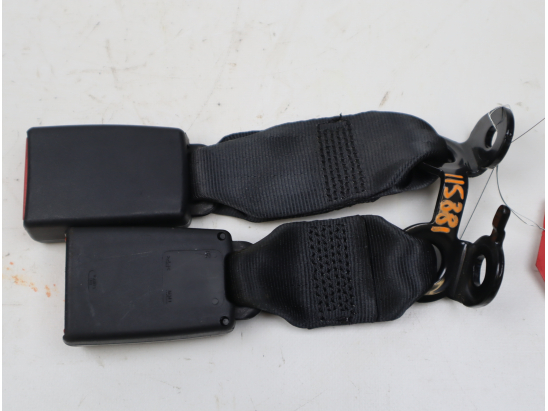 ANCRAGE CEINTURE ARG