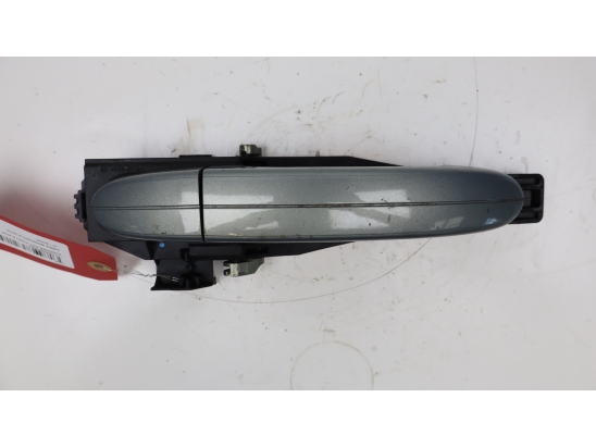 POIGNEE EXT PORTE AVD