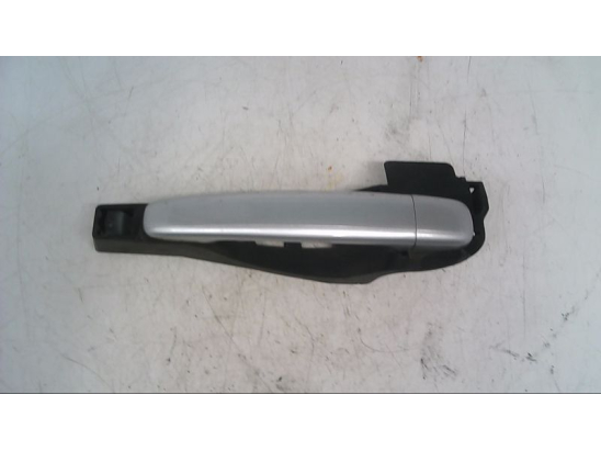 POIGNEE EXT PORTE ARG