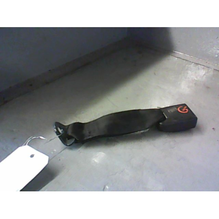 ANCRAGE CEINTURE ARG