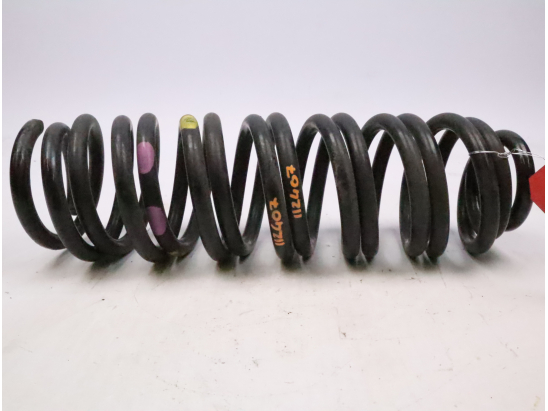 Ressort amortisseur ard occasion RENAULT SCENIC III Phase 3 - 1.2i 132ch