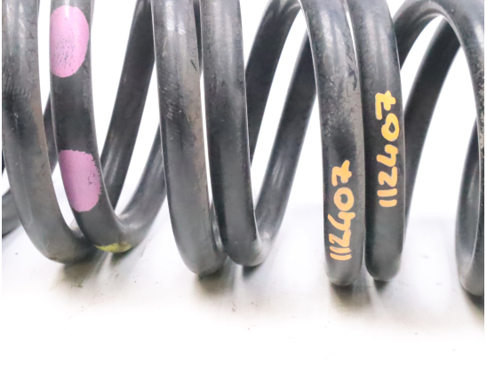 Ressort amortisseur ard occasion RENAULT SCENIC III Phase 3 - 1.2i 132ch