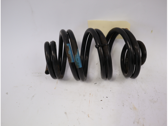 Ressort amortisseur ard occasion NISSAN MICRA III Phase 2 - 1.5 DCI 65ch