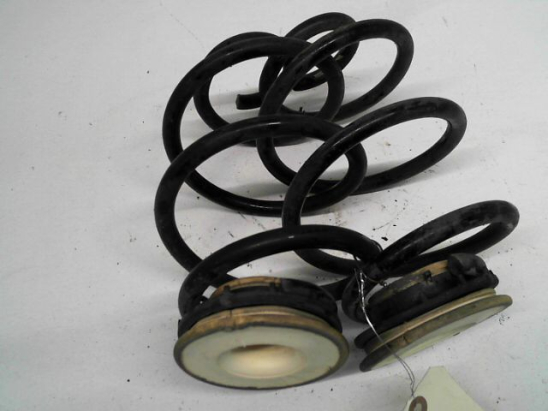 Ressort amortisseur ard occasion RENAULT TWINGO II Phase 1 - 1.2i 16v 75ch