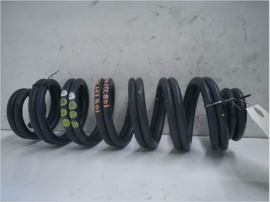 Ressort amortisseur ard occasion VOLKSWAGEN GOLF PLUS Phase 1 - 1.9 TDI 105ch