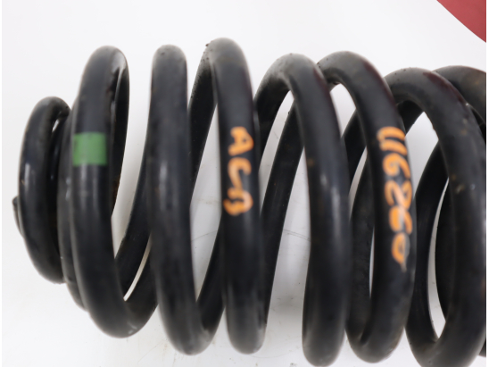 Ressort amortisseur ard occasion RENAULT CLIO II Phase 2 - 1.2 16v