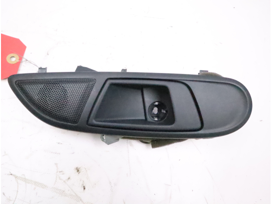 POIGNEE INT PORTE AVD