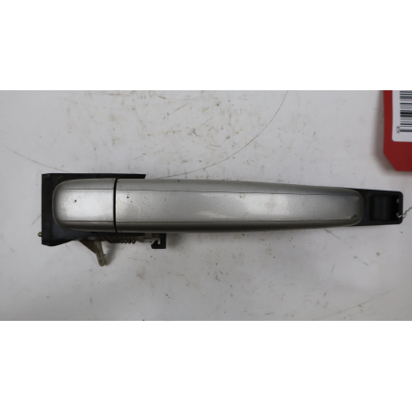 POIGNEE EXT PORTE ARG