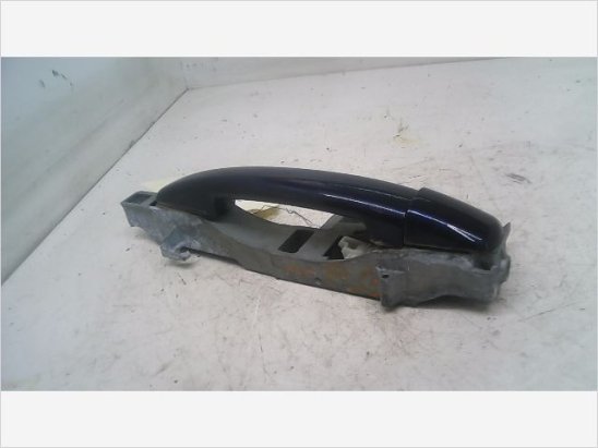 POIGNEE EXT PORTE ARG