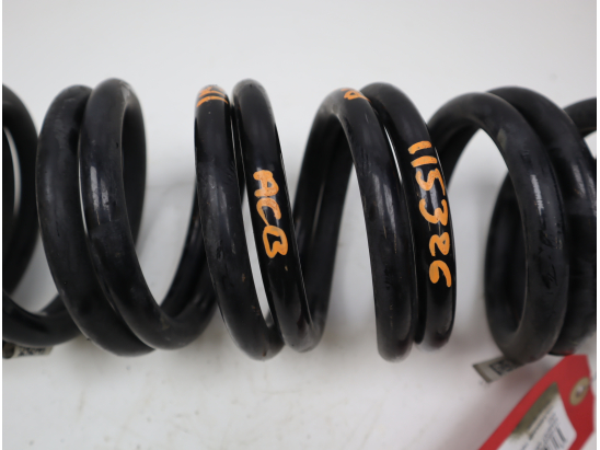 Ressort amortisseur ard occasion VOLKSWAGEN TIGUAN II Phase 1 - 2.0 TDI 150ch