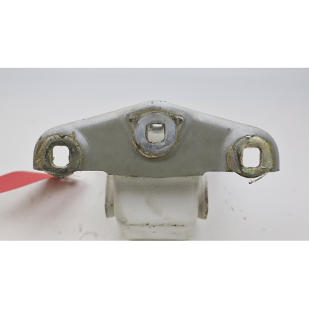 CHARNIERE PORTE ARG INF