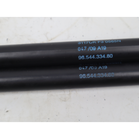 Verins hayon occasion CITROEN C4 PICASSO I Phase 1 - 1.6 HDi 16v 110ch