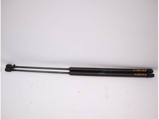 Verins hayon occasion RENAULT MEGANE III Phase 1 - 1.5 DCI 105ch