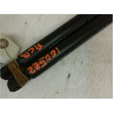 Verins hayon occasion DACIA SANDERO II Phase 2 - 0.9i 90ch