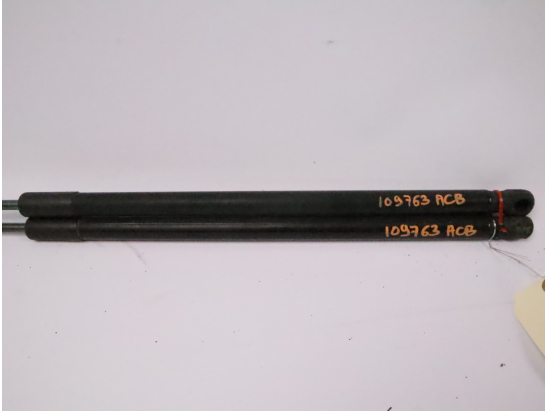 Verins hayon occasion RENAULT MEGANE III Phase 2 - 1.5 DCI 8v 110ch