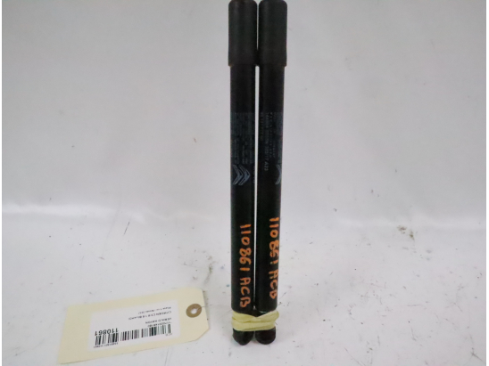 Verins hayon occasion CITROEN C3 III Phase 1 - 1.6 BlueHDI 100ch