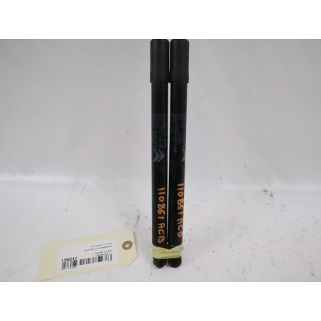 Verins hayon occasion CITROEN C3 III Phase 1 - 1.6 BlueHDI 100ch