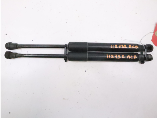 Verin d capot occasion PEUGEOT RCZ Phase 1 - 2.0 HDI 16v 163ch