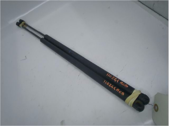 Verins hayon occasion FORD FIESTA V Phase 2 - 1.6 TDCI