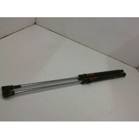 Verins hayon occasion RENAULT LAGUNA II Phase 1 ESTATE - 1.9 DCI 110ch