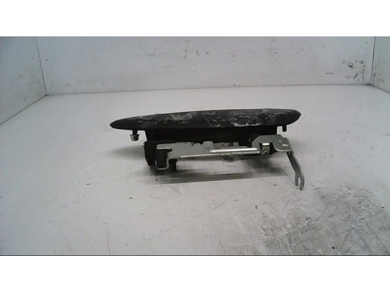 POIGNEE EXT PORTE AVD