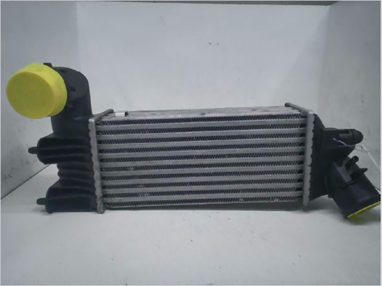 Echangeur air occasion CITROEN C5 I Phase 1 - 2.0 HDi 110ch