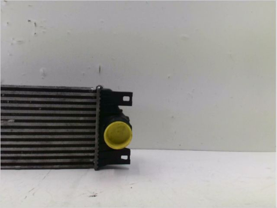 Echangeur air occasion RENAULT MASTER II Phase 1 - 2.2 DCI 90ch