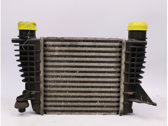 Echangeur air occasion NISSAN JUKE Phase 1 - 1.5 DCI 110ch