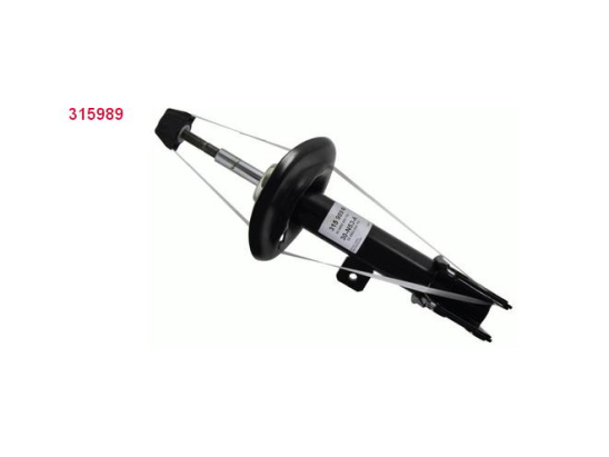 Amort. Av D Sachs 315989