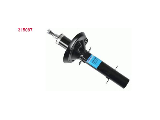 Amort. Av Sachs 315087