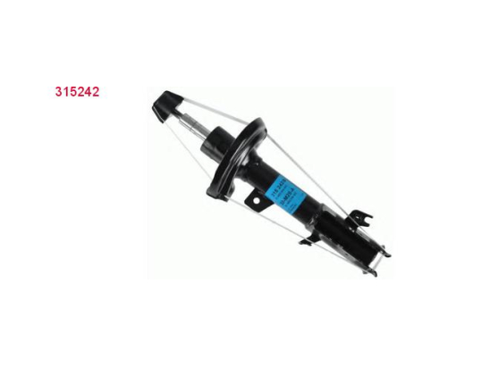 Amort. Av D Sachs 315242