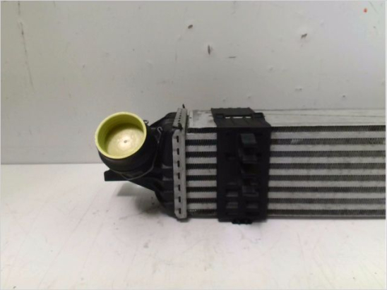Echangeur air occasion RENAULT LAGUNA III Phase 2 - 2.0 DCI 16v 130ch
