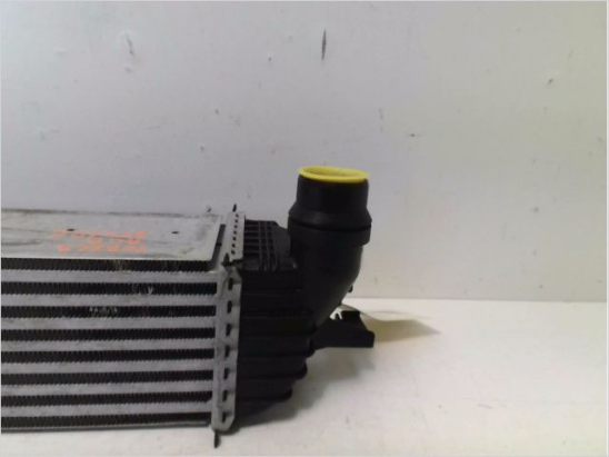 Echangeur air occasion RENAULT LAGUNA III Phase 2 - 2.0 DCI 16v 130ch
