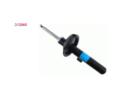 Amort. Av D Sachs 313040