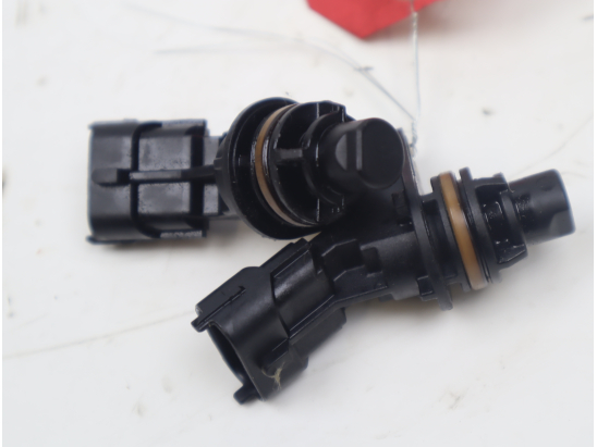 CAPTEUR ARBRE Ã€ CAMES