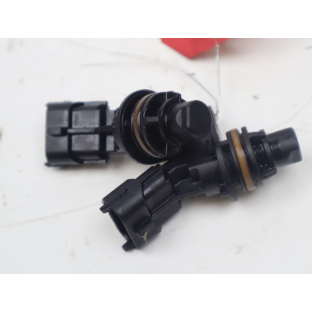 CAPTEUR ARBRE Ã€ CAMES