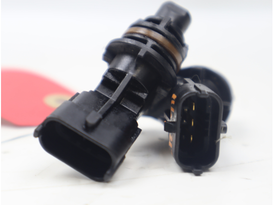 CAPTEUR ARBRE Ã€ CAMES