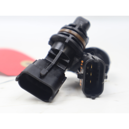 CAPTEUR ARBRE Ã€ CAMES